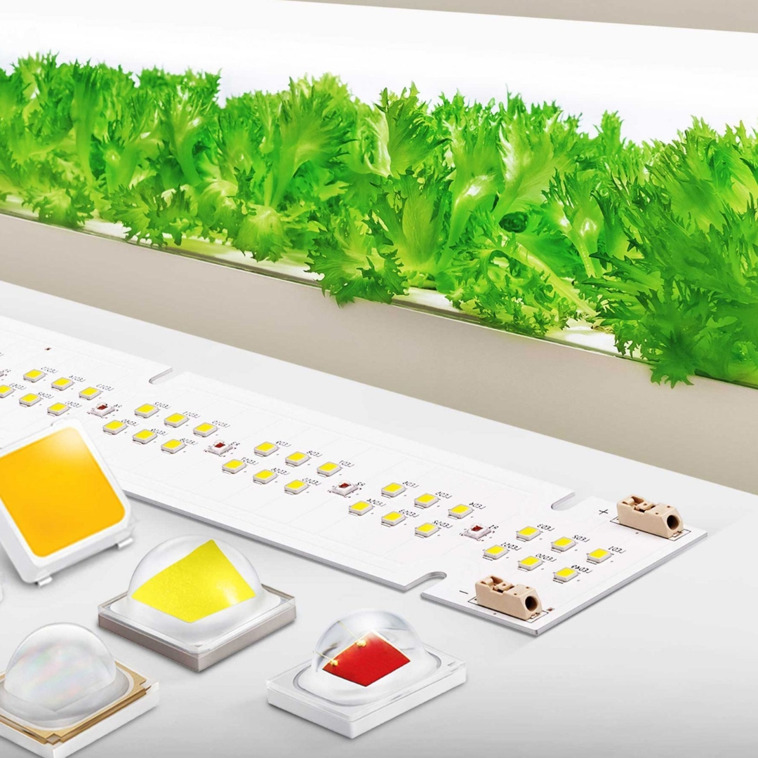En este momento estás viendo 6 razones para utilizar Luces LED en tu cultivo indoor